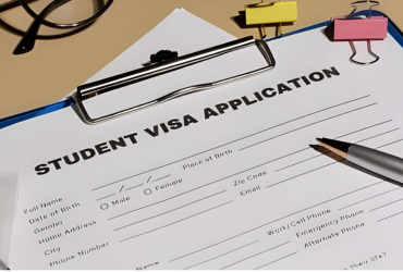 Untitled design (91)